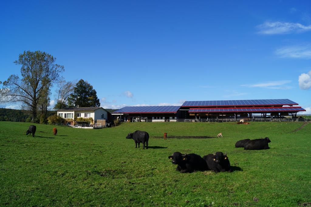 Bolderhof Villa Hemishofen Bilik gambar