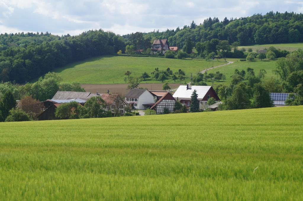 Bolderhof Villa Hemishofen Luaran gambar